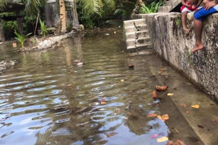 Children look on as seawater sips into their backyard. 